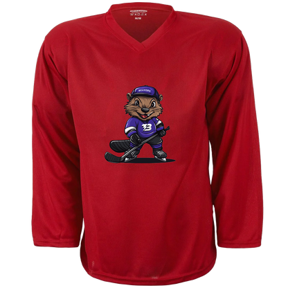 Thunder Bay Beavers Jersey Rink of Dreams