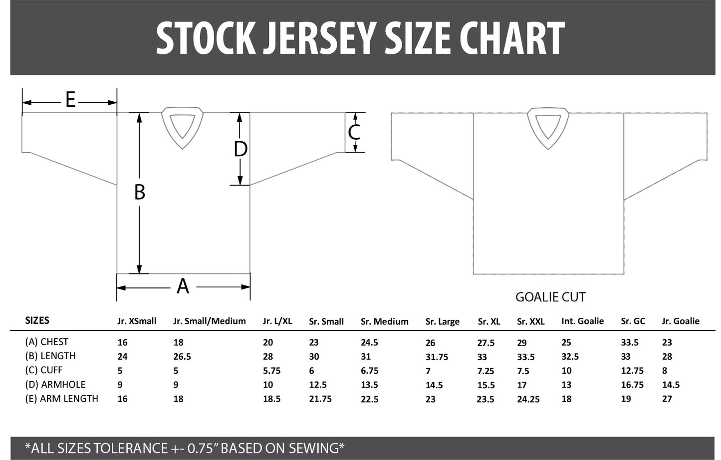Thunder Bay Surge Jersey Rink of Dreams