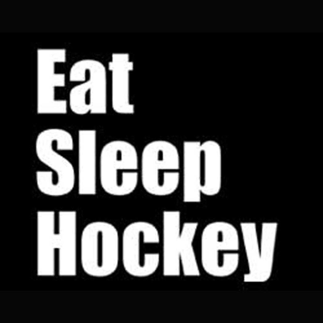 Vinyl Sticker Decal (Eat Sleep Hockey)